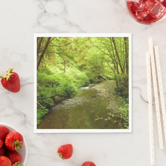 Verloren Man Creek I in Redwood National Park Servet (Insitu)