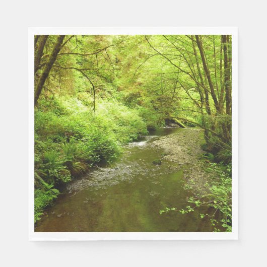 Verloren Man Creek I in Redwood National Park Servet (Voorkant)