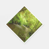 Verloren Man Creek I in Redwood National Park Servet (Hoek)