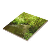 Verloren Man Creek I in Redwood National Park Tegeltje (Zijkant)