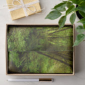 Verloren Man Creek I in Redwood National Park Tissuepapier (Geschenk)