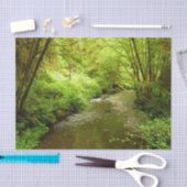 Verloren Man Creek I in Redwood National Park Tissuepapier (Craft)