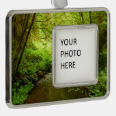 Verloren Man Creek I in Redwood National Park Verzilverd Omlijst Ornament (Rechts)