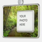 Verloren Man Creek I in Redwood National Park Verzilverd Omlijst Ornament (Links)