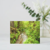 Verloren Man Creek II in Redwood National Park Briefkaart (Staand voorkant)