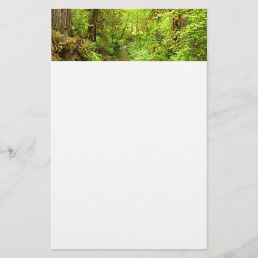 Verloren Man Creek II in Redwood National Park Briefpapier (Voorkant)