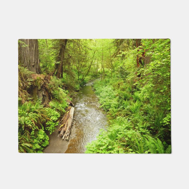 Verloren Man Creek II in Redwood National Park Deurmat (Voorkant)