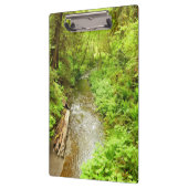 Verloren Man Creek II in Redwood National Park Klembord (Links)