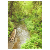 Verloren Man Creek II in Redwood National Park Klembord (Achterkant)