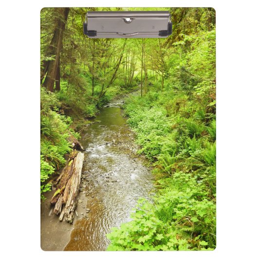 Verloren Man Creek II in Redwood National Park Klembord (Voorkant)