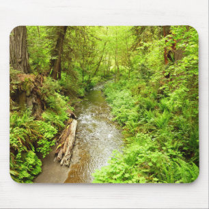 Verloren Man Creek II in Redwood National Park Muismat