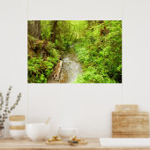 Verloren Man Creek II in Redwood National Park Poster (Keuken)
