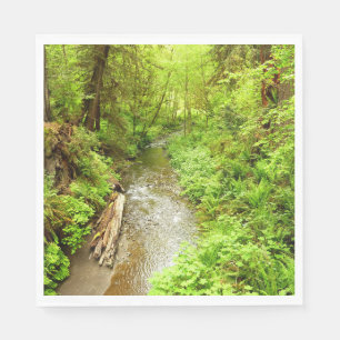 Verloren Man Creek II in Redwood National Park Servet