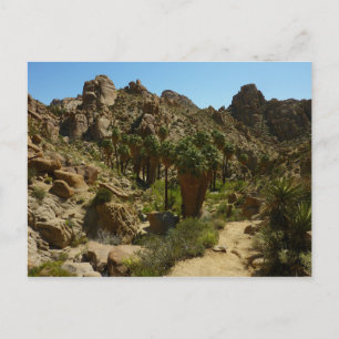 Verloren Palmen Oase II in Joshua Tree National Pa Briefkaart