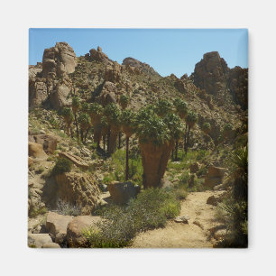 Verloren Palmen Oase II in Joshua Tree National Pa Magneet