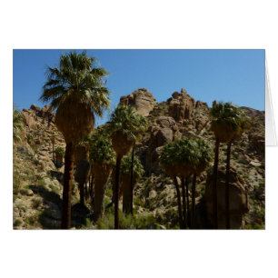 Verloren palms Oasis I in het Nationaal Park van d