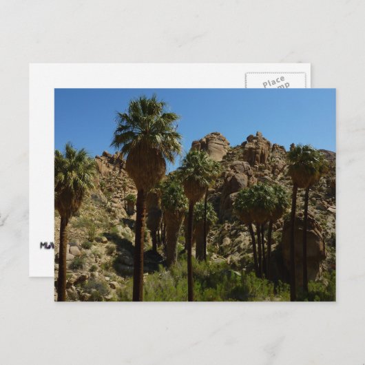 Verloren palms Oasis I in het Nationaal Park van d Briefkaart (Voorkant / Achterkant)