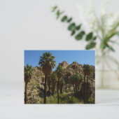 Verloren palms Oasis I in het Nationaal Park van d Briefkaart (Staand voorkant)