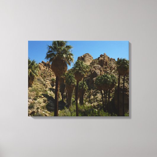 Verloren palms Oasis I in het Nationaal Park van d Canvas Afdruk (Voorkant)
