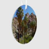 Verloren palms Oasis I in het Nationaal Park van d Ornament (voorkant)