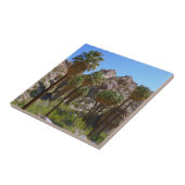 Verloren palms Oasis I in het Nationaal Park van d Tegeltje (Zijkant)