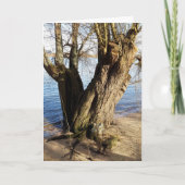 Verloren plaatsen, oude bomen op de rivieroever kaart (Voorkant)