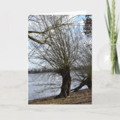 Verloren plaatsen, oude bomen op de rivieroever kaart (Voorkant)