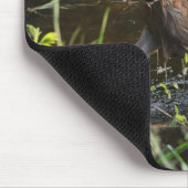 Verloren Virginia Herten Fawn Baby Dier Wildlife F Muismat (Hoek)