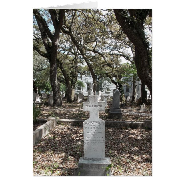 Verloskundige zorg (Voorkant)