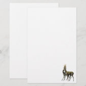 Verloskundigen Briefpapier (Voorkant / Achterkant)