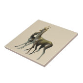 Verloskundigen Tegeltje (Zijkant)