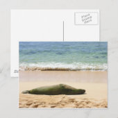 Verlosmakelijk monnikszegel briefkaart (Voorkant / Achterkant)