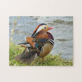 Verlovende Mandarijnse eenden Legpuzzel