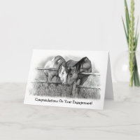 VERLOVING CONGRATS: DE MINNAARS VAN HET PAARD