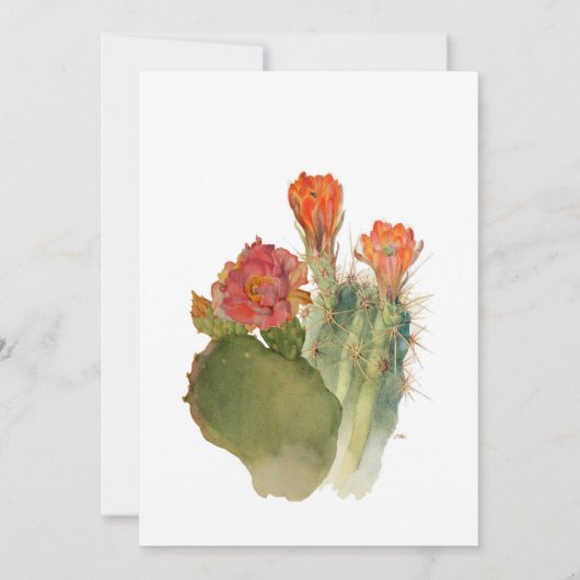 Verloving Fiesta Cactus Flowers Waterverf Script Kaart (Achterkant)