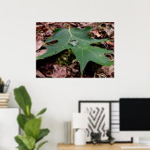 Verloving Ring op een groen eiken lef Poster (Thuiskantoor)