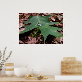 Verloving Ring op een groen eiken lef Poster (Keuken)