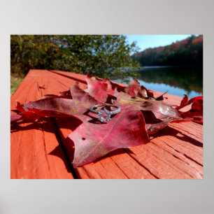 Verloving Ring op een volgend lef Poster