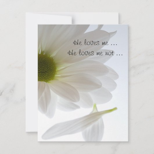 Verloving van White Daisy Petals Aankondiging (Voorkant)