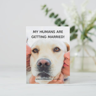 Verlovingsaankondiging aangepaste foto hond ansich feestdagenkaart
