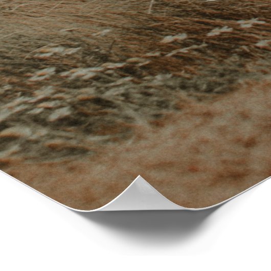 Verlovingsfeest Welkomstposter met foto Poster (Hoek)