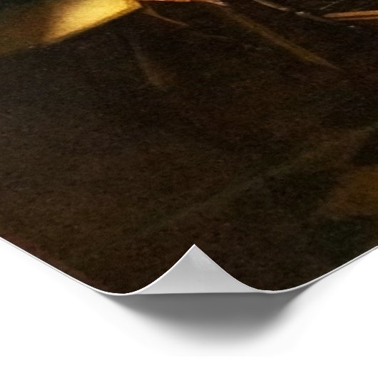 Vermeer Het glas van Poster van wijn (Hoek)