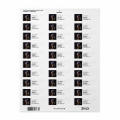 Vermeer Meisje Parel Oorbel Masterpiece Schilderen Etiket (Full Sheet)