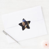 Vermeer Meisje Parel Oorbel Masterpiece Schilderen Ster Sticker (Envelop)