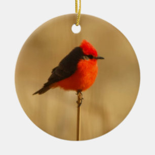 Vermilion Flycatcher Keramisch Ornament