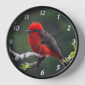 Vermilion Flycatcher-wandklok (Voorkant)