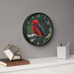 Vermilion Flycatcher-wandklok