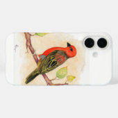 Vermillion Bird Finch Case-Mate iPhone Case (Achterkant (horizontaal))