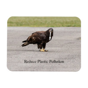 Verminder de plastische verontreiniging magneet