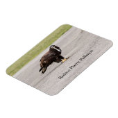 Verminder de plastische verontreiniging magneet (Linkerzijde)